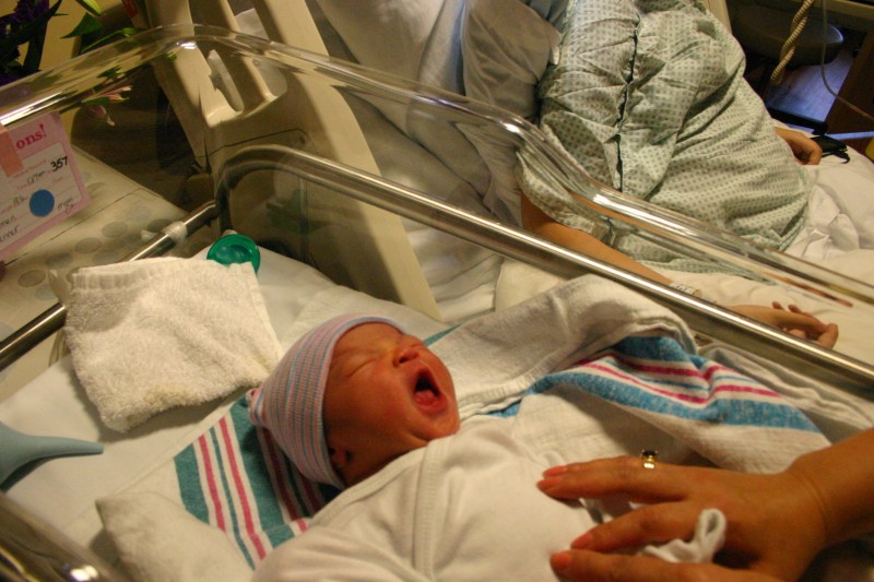 IMG_0609 [800x600].JPG